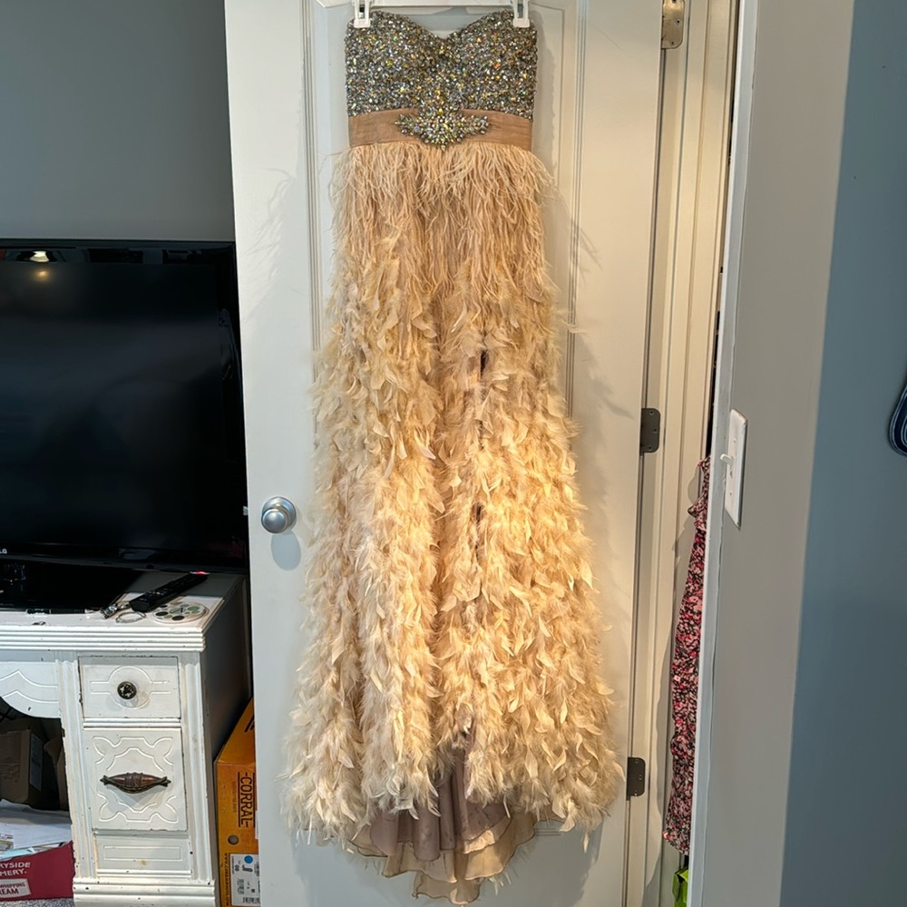 Prom or Pageant dress